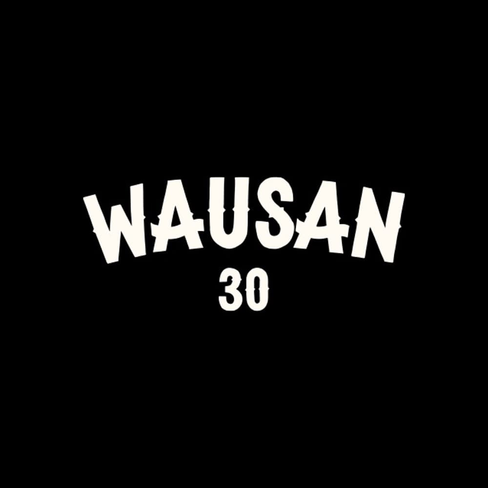 WAUSAN30 logo