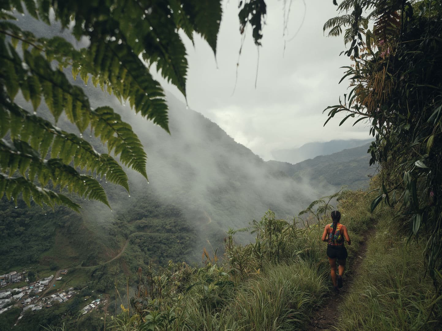 Gazzelle On The Road