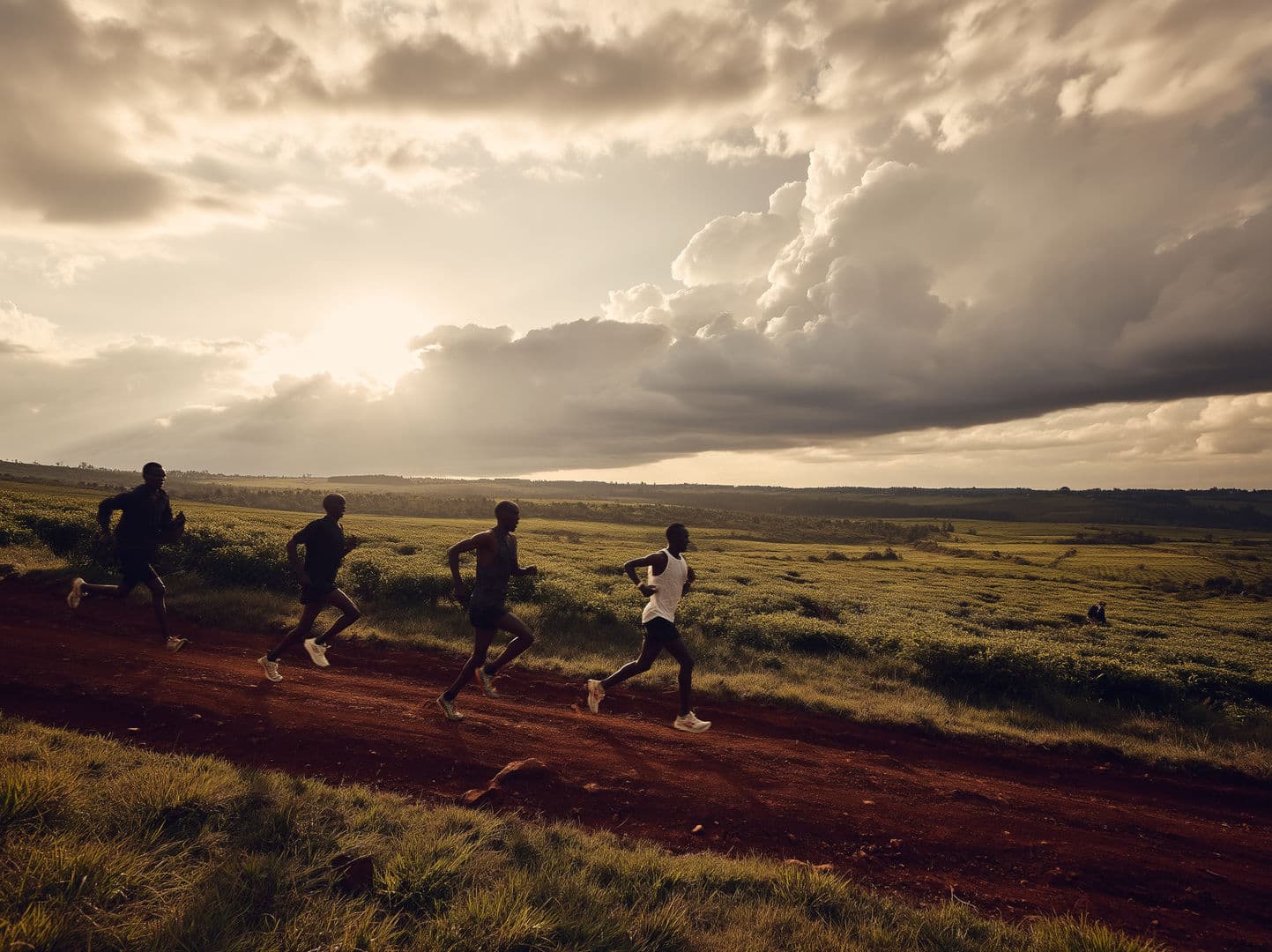 Gorilla Running Club