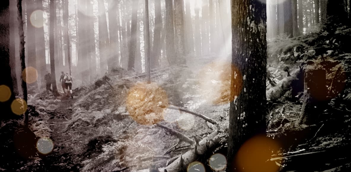 Abbotsford Trail Running Club