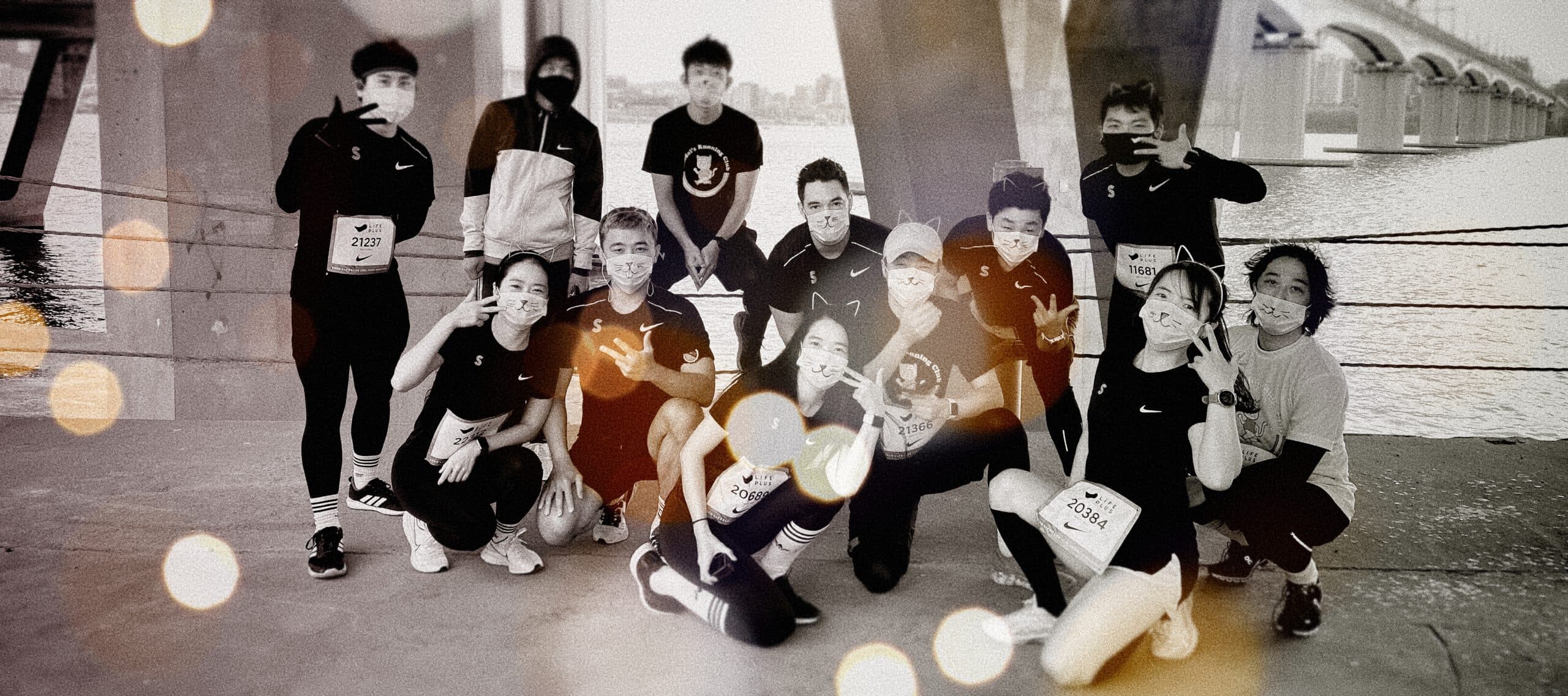 Chadol Running Club A Cat Named Chadol and a Seoul Community