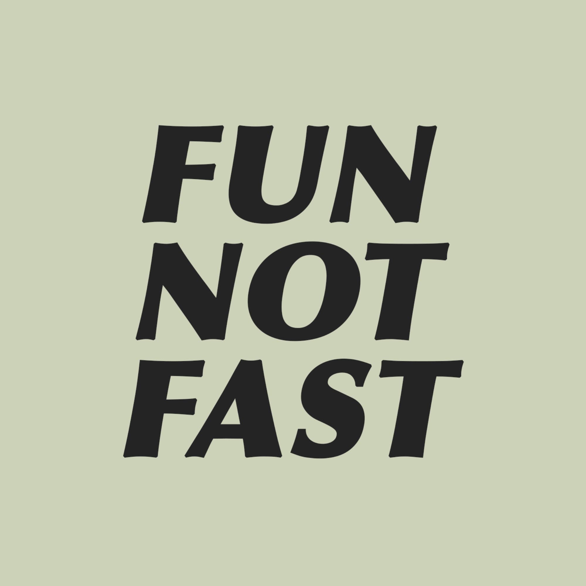FUN NOT FAST logo