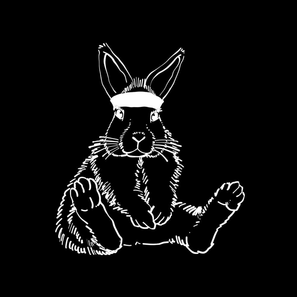 Rabbit Running Crew logo