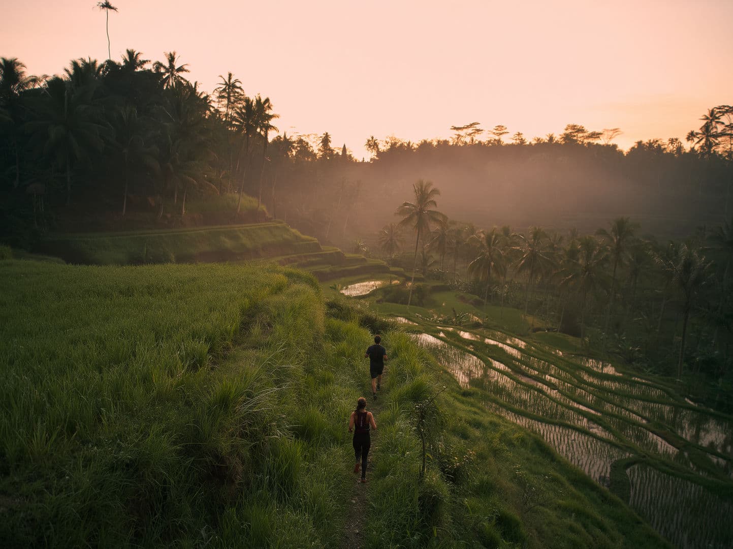 Jacuzzi Boys Athletic Clubs