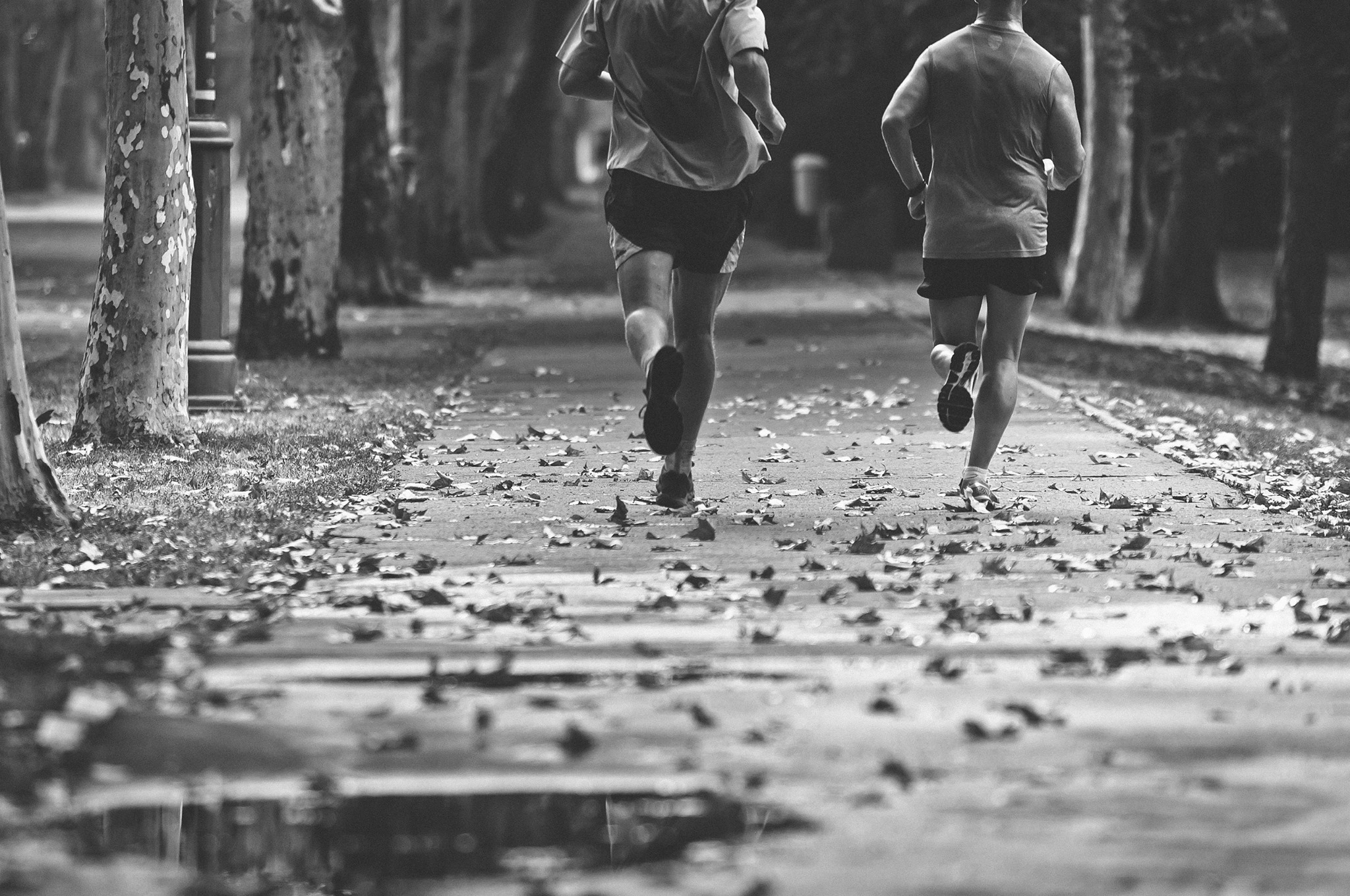 Geelong Runners Club crew picture